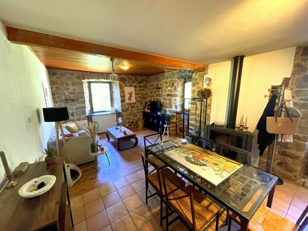 Charmante propriété Ardéchoise en pierres avec piscine et gîtes