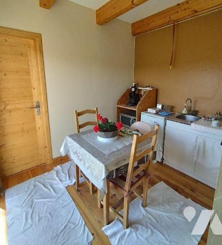 Vente Locaux commerciaux à Selonnet