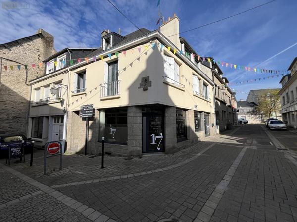 Immeuble à vendre à Ploërmel dans le Morbihan (56800), ref : VI078-56044