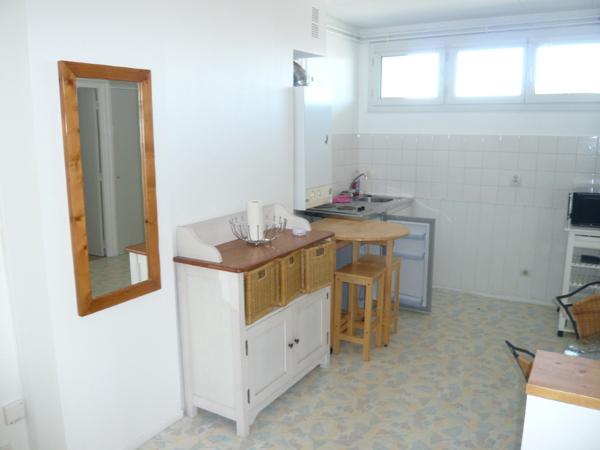 LAVAL rive gauche, studio meublé de 35m²