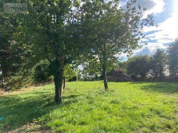 Terrain à Batir à vendre à Ruffigné en Loire-Atlantique (44660), ref : 44072-27