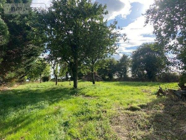 Terrain à Batir à vendre à Ruffigné en Loire-Atlantique (44660), ref : 44072-27