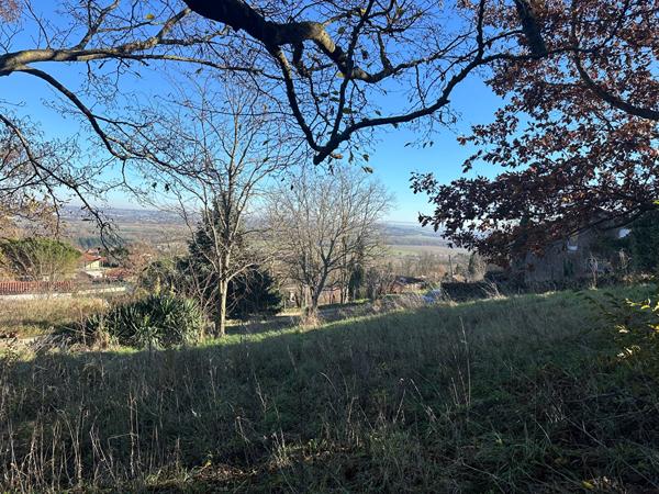 31320 PECHABOU TERRAIN PECHABOU