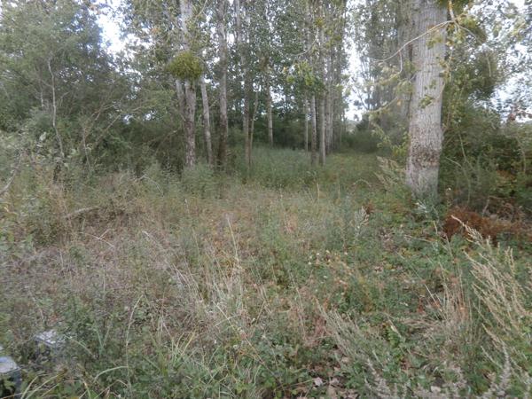 TERRAIN DE LOISIRS 2370 M2 EN PARTIE BOISEE DE PEUPLIERS NEGOCIABLE Saint-Georges-sur-la-Prée (18100)