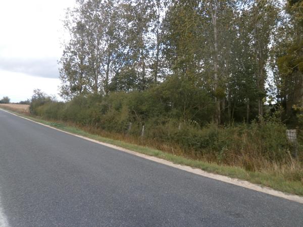 TERRAIN DE LOISIRS 2370 M2 EN PARTIE BOISEE DE PEUPLIERS NEGOCIABLE Saint-Georges-sur-la-Prée (18100)