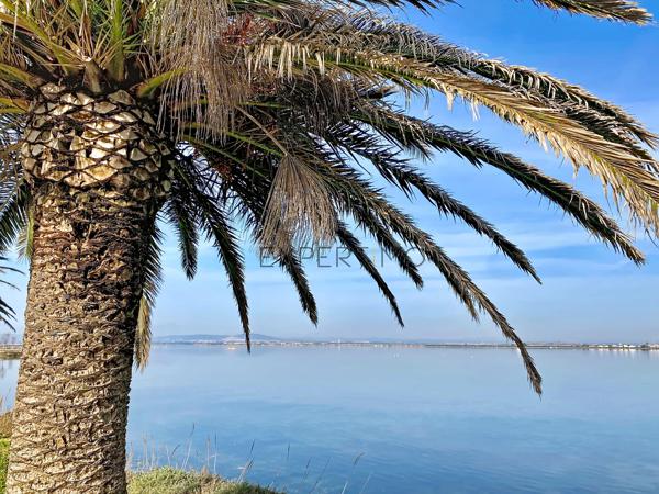 PALAVAS LES FLOTS, COUP DE CŒUR – RIVE DROITE – MAISON DE PLAIN-PIED AVEC VUE IMPRENABLE SUR LES ÉTANGS