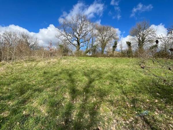 Terrain à vendre |                                       Ribérac |                                          6991 m²