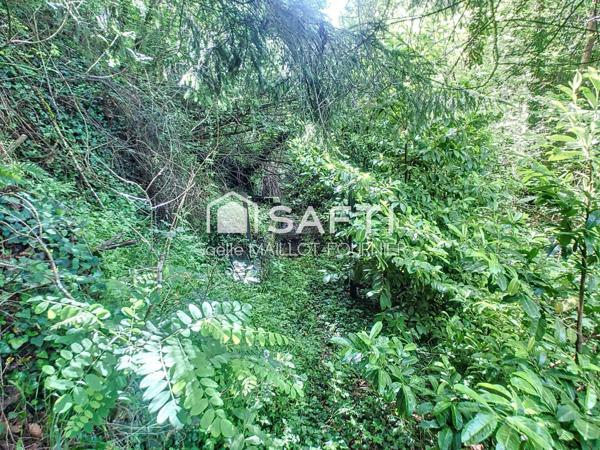 Grande maison avec jardins, terrasse et garage.