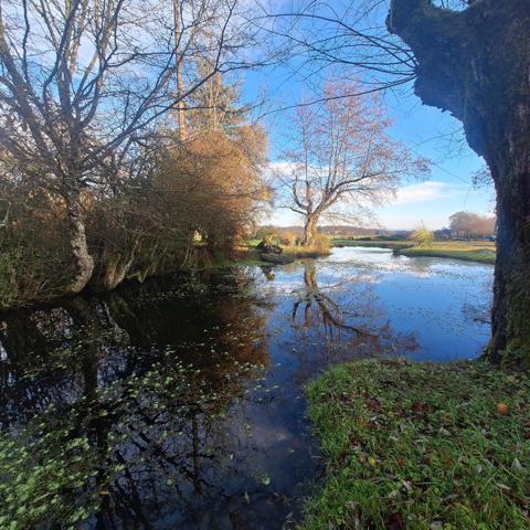 Propriété au calme avec dépendances et terrain