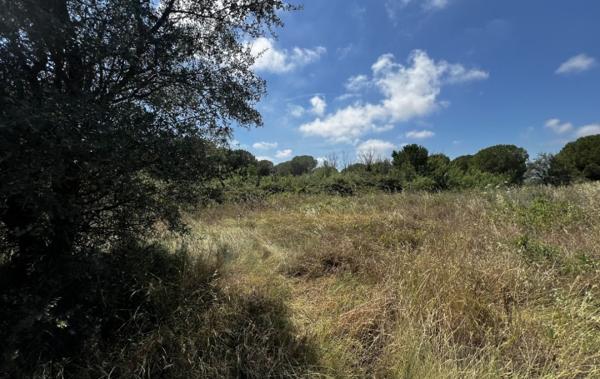 Vente Terrain De loisirs Marseillan   