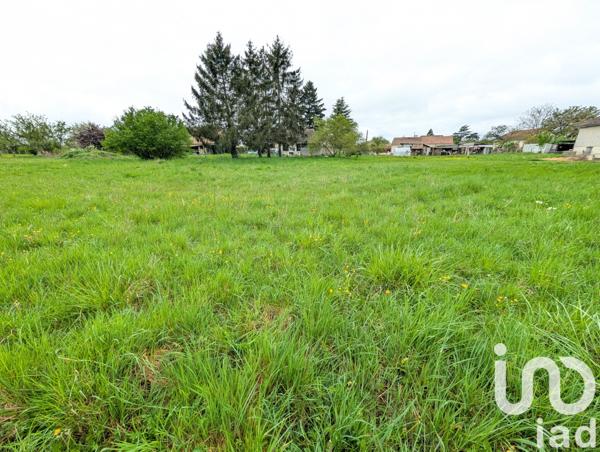 Terrain à vendre 4 024 m² Lussac-les-Châteaux