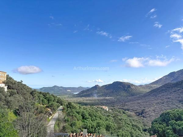 Vente Maison de village 4 pièces 91 m2 à Muro