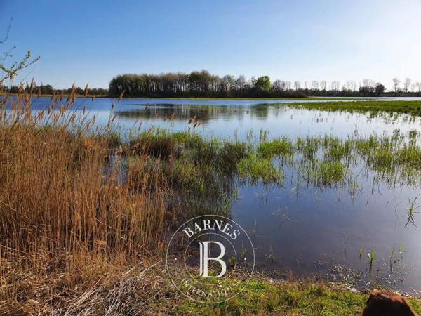 Villars-les-Dombes, Propriété  1 000 m² à vendre