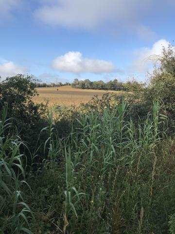 Vente / Garage / Parking