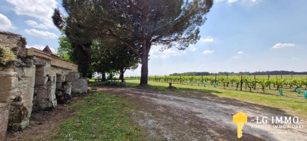 Votre recherche de biens