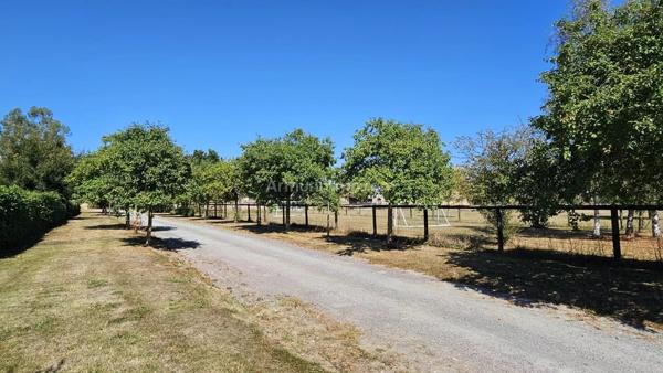 Vente Propriété 30 pièces 632 m2 à Cabourg