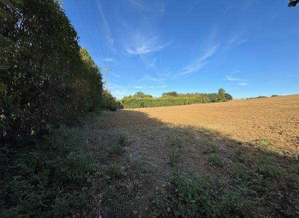 Terrain L Isle Jourdain