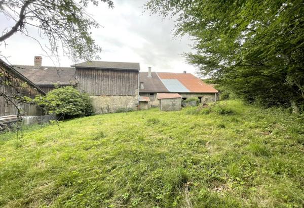 Maisons de village avec granges dépendances à rénover