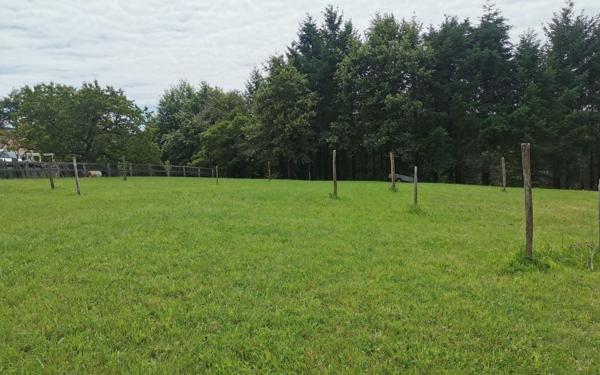 Terrain à vendre    Malemort-sur-Corrèze