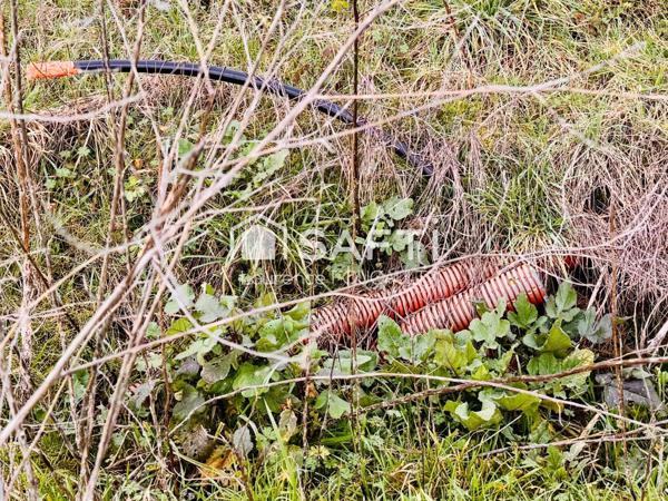 Terrain constructible 5mn de Mirande vue dégagée.