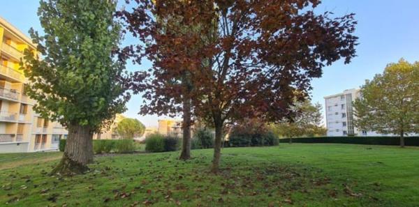 Annexe + appartement