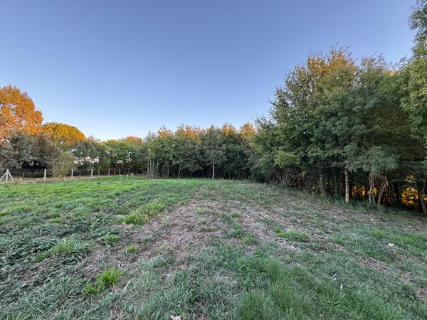 Montans. Terrain de 624,53 m2 constructible .