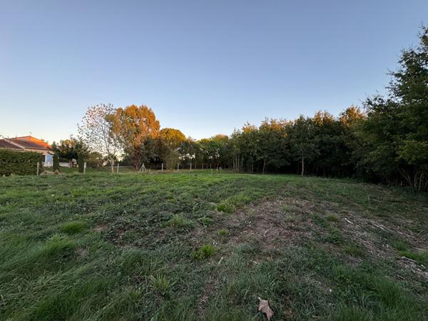 Montans. Terrain de 624,53 m2 constructible .