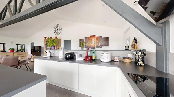 HANGAR + LOFT+ GRAND JARDIN