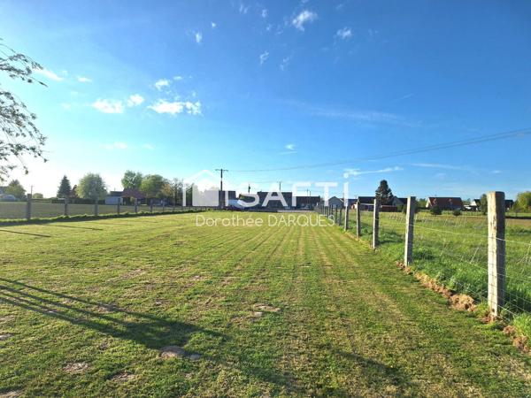 HANGAR + LOFT+ GRAND JARDIN