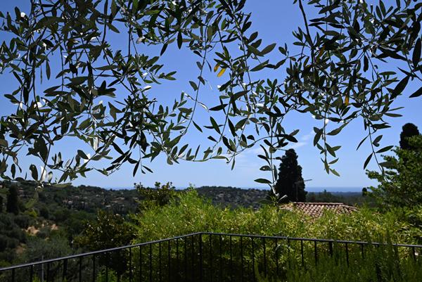 Maison 7 pièce(s) 195 m2 - Châteauneuf-de-Grasse