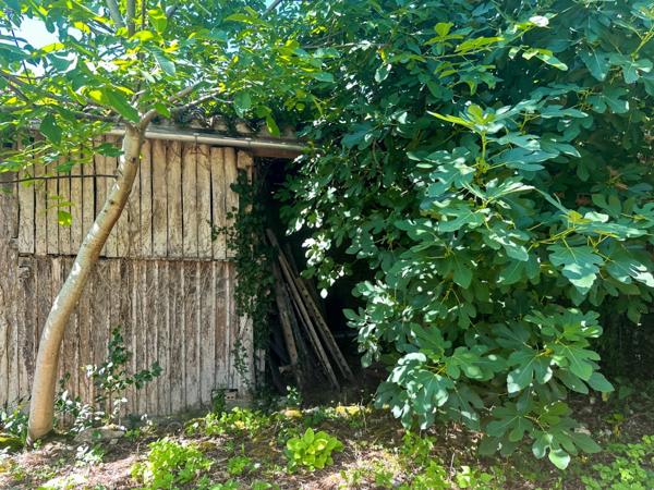 Maison à vendre 4 pièces 152 m2 BARRAN (32) - Terrain 351 m2