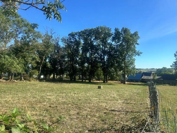 Achat - Terrain à bâtir Coltines 15170 2391 m 2