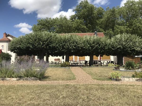 Vente Propriété 16 pièces à Pouilly-sur-Loire