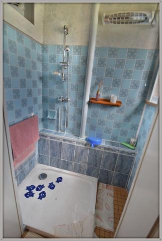 Appartement à vendre avec jardin, CORNIMONT 88