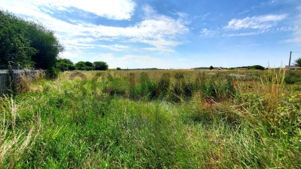 Vente / Terrain constructible