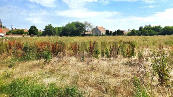 Vente / Terrain constructible