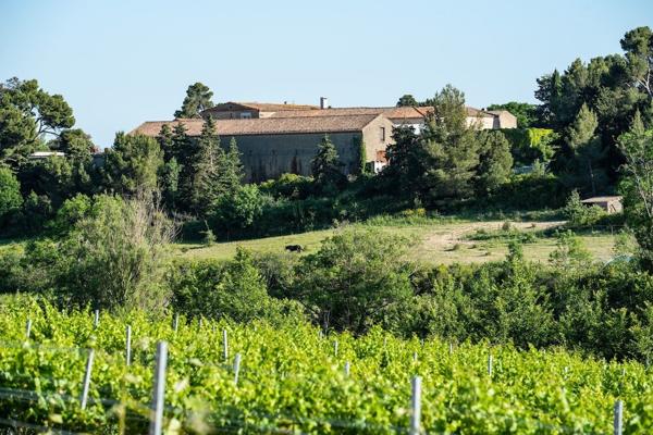 Vente Maison de luxe Carcassonne 27 Pièces 3000 m²