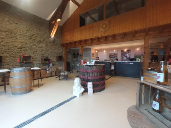 Vente Maison de luxe Carcassonne 27 Pièces 3000 m²