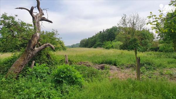 SUPERBE TERRAIN A BATIR