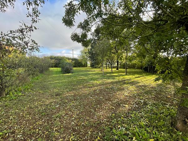 Maison avec piscine et grand terrain arboré proche de Fontenay-le-Comte