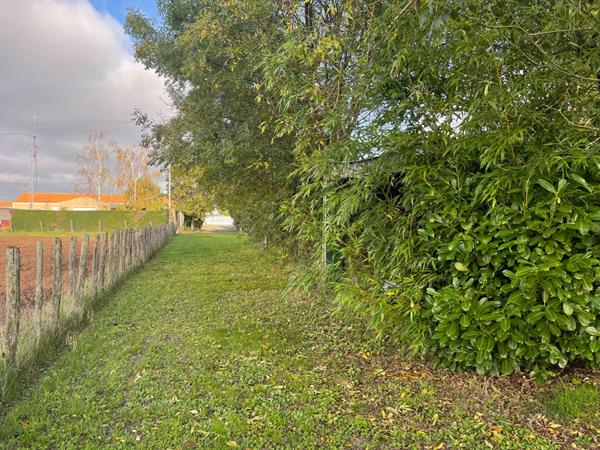 Maison avec piscine et grand terrain arboré proche de Fontenay-le-Comte