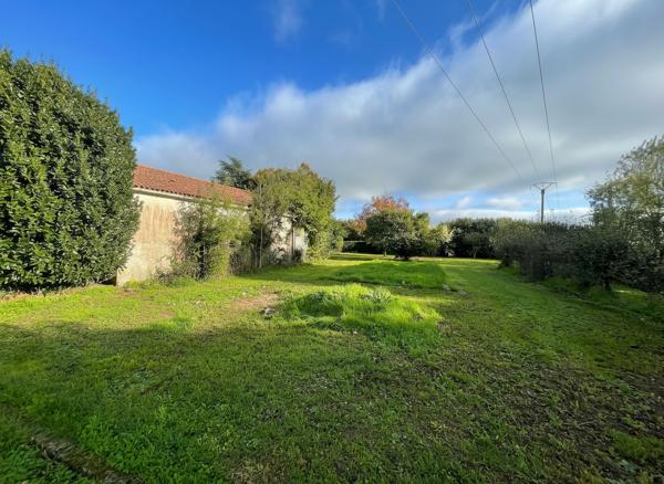 Maison avec piscine et grand terrain arboré proche de Fontenay-le-Comte