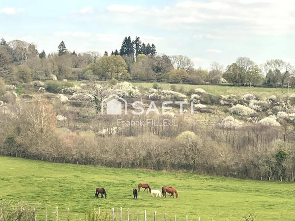 Jolie maison ancienne avec garage, cadre de rêve!