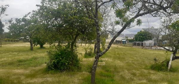 Terrain Bauge En Anjou