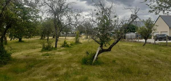 Terrain Bauge En Anjou