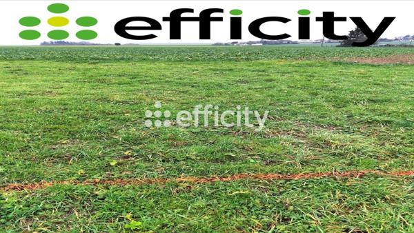 Bureau 2 pièces - 100 m² Exclusivité efficity