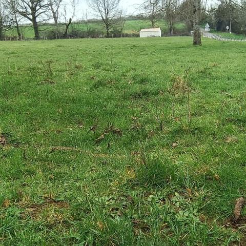 Terrain à vendre SAINT MARTIN DE SAINT MAIXENT (79)