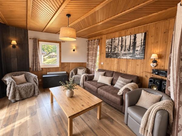 Gérardmer- Chalet divisé en 2 appartements vue Lac
