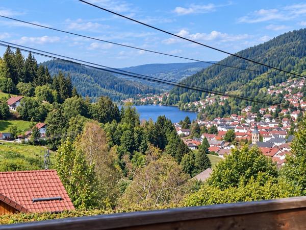 Gérardmer- Chalet divisé en 2 appartements vue Lac