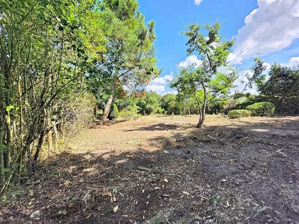 Terrain
        
        - 1098 m² 382 000 € *
